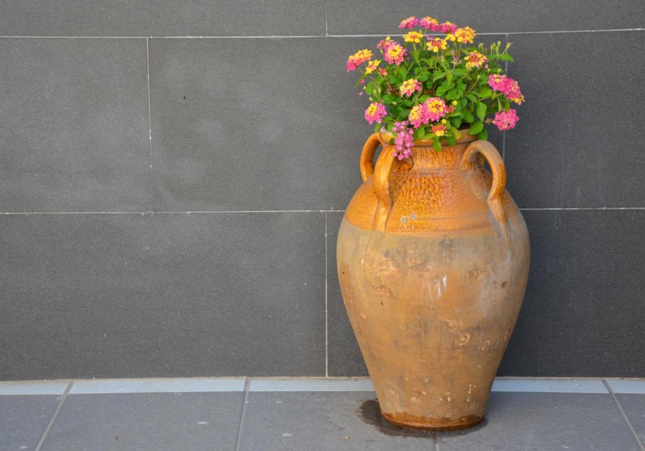 Rosa Vesuviana Bed & Breakfast Boscoreale Dış mekan fotoğraf