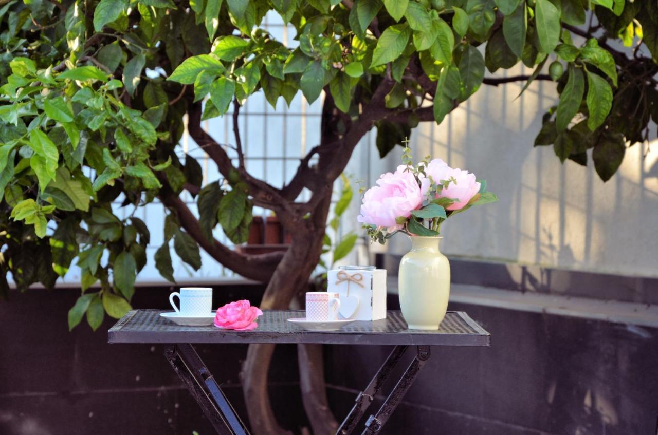 Rosa Vesuviana Bed & Breakfast Boscoreale Dış mekan fotoğraf