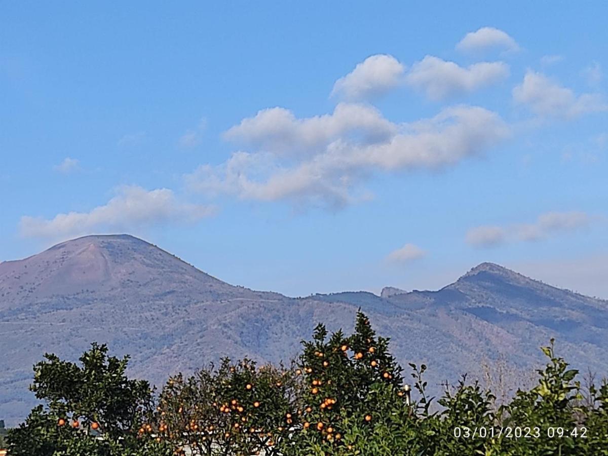 Rosa Vesuviana Bed & Breakfast Boscoreale Dış mekan fotoğraf